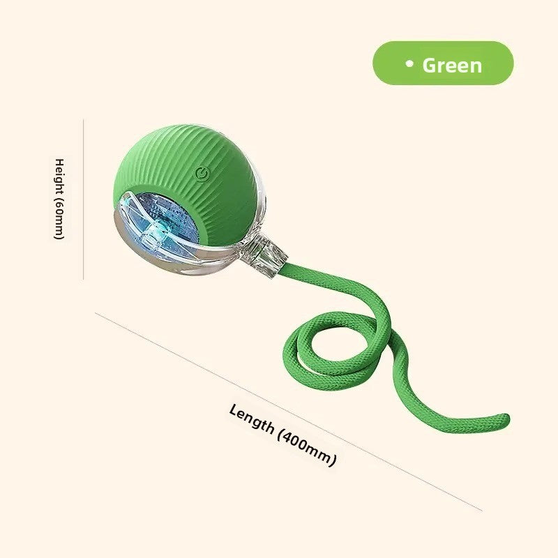 An electric and intelligent dog-teasing device for pets
