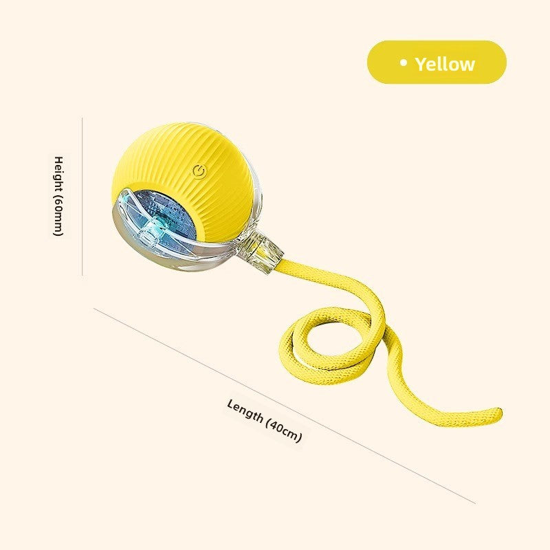 An electric and intelligent dog-teasing device for pets