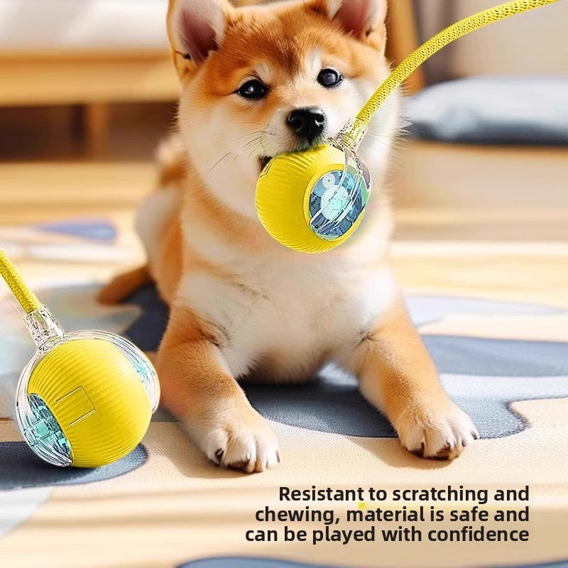 An electric and intelligent dog-teasing device for pets