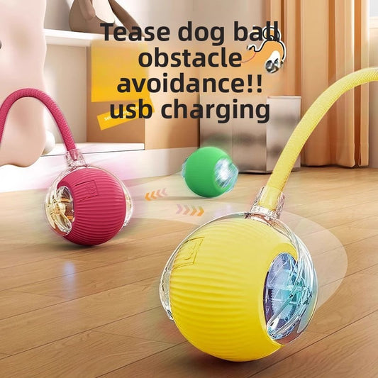 An electric and intelligent dog-teasing device for pets