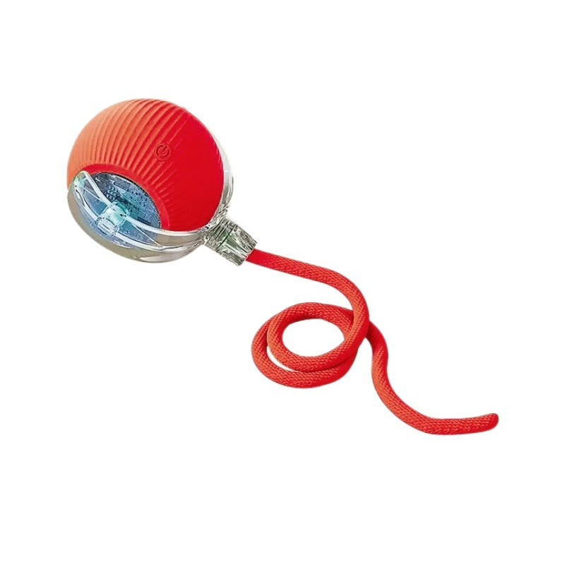 An electric and intelligent dog-teasing device for pets