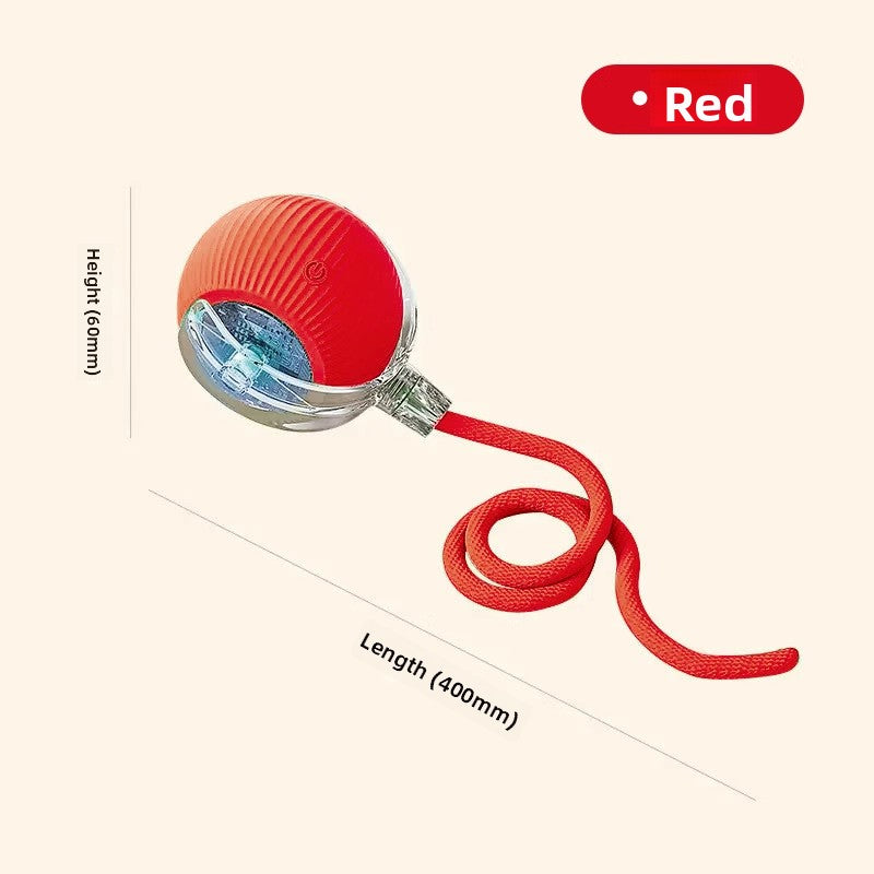 An electric and intelligent dog-teasing device for pets