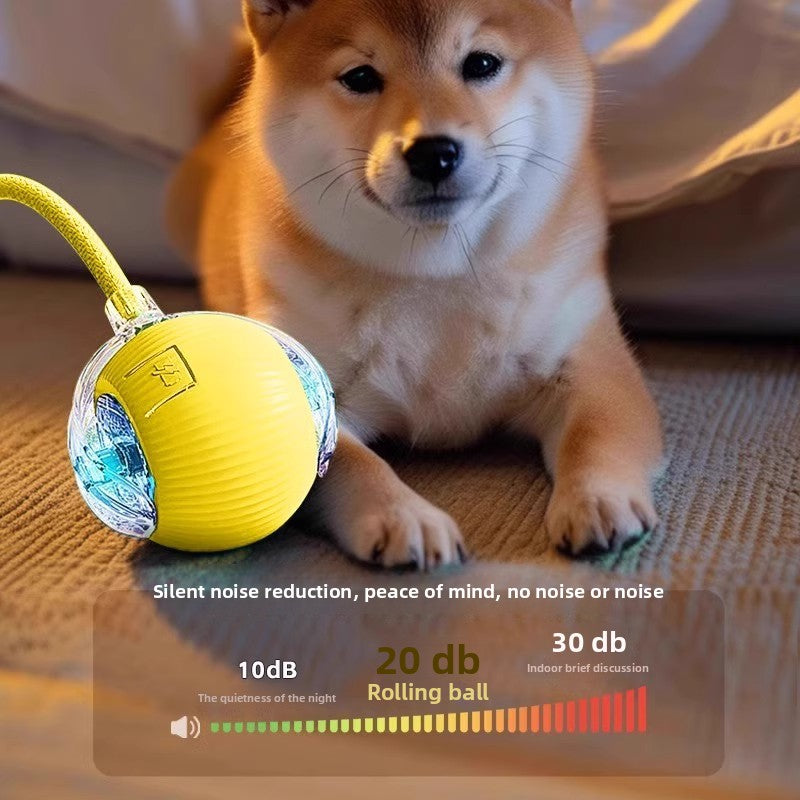 An electric and intelligent dog-teasing device for pets